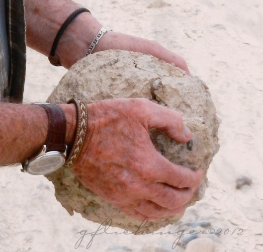 Mudball in hand for scale