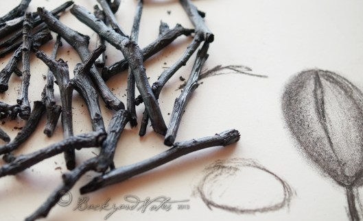Apple & pear charcoal twigs