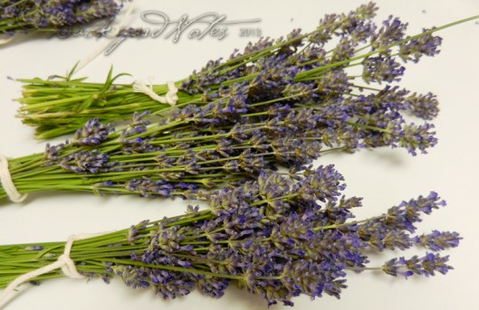 lavender bundles