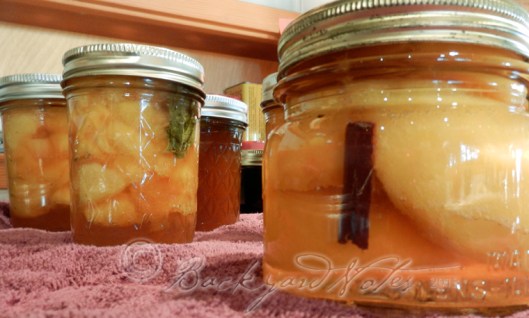 Peach Basil preserves & brandied peaches