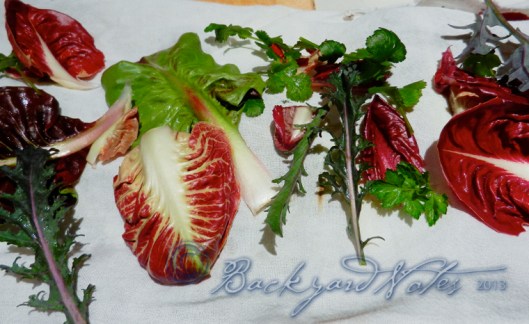 Mixed, washed greens