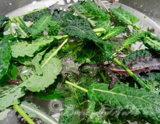 Small lacinato kale leaves