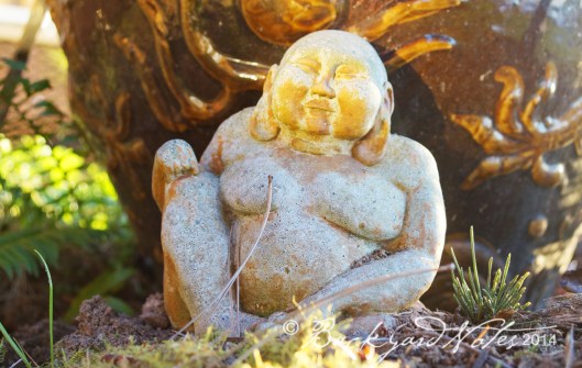 Hotei enjoying a little sunshine 