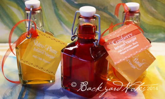 Fruit infused vinegar