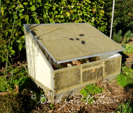 My 15 year old coldframe