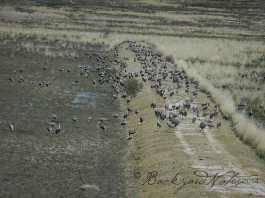 300 maybe? Multiply by 10.