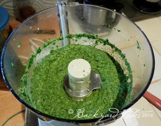 radishpesto_1