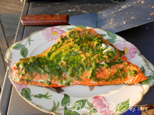 Sockeye salmon with radish top pesto