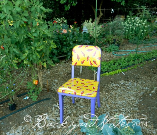 ChilipepperChair