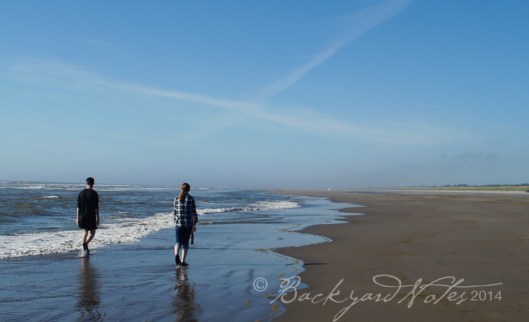 A late summer afternoon walk on the beach.