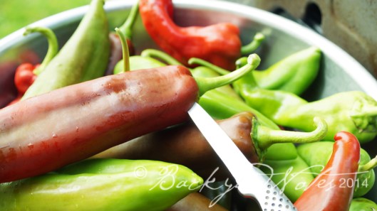 Make a small slit in the shoulder of the  pepper so the peppers don't steam from the inside.