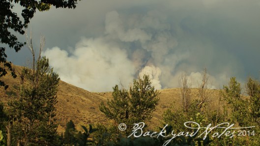 One of many Winthrop area fires seen from the fesival grounds.