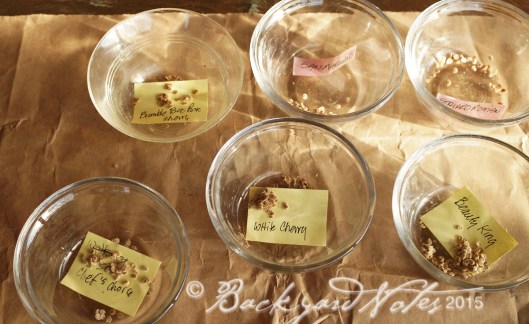 Finished seed for next year