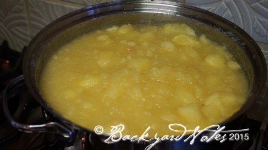 10+ pounds of apples