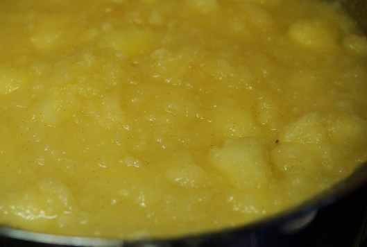 Vanilla bean flecked applesauce