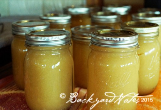 Applesaucejars_2