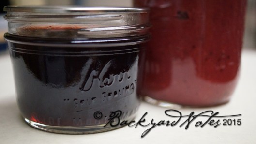 Apple-Cranberry jelly