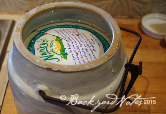 The homemade plastic 'seal'